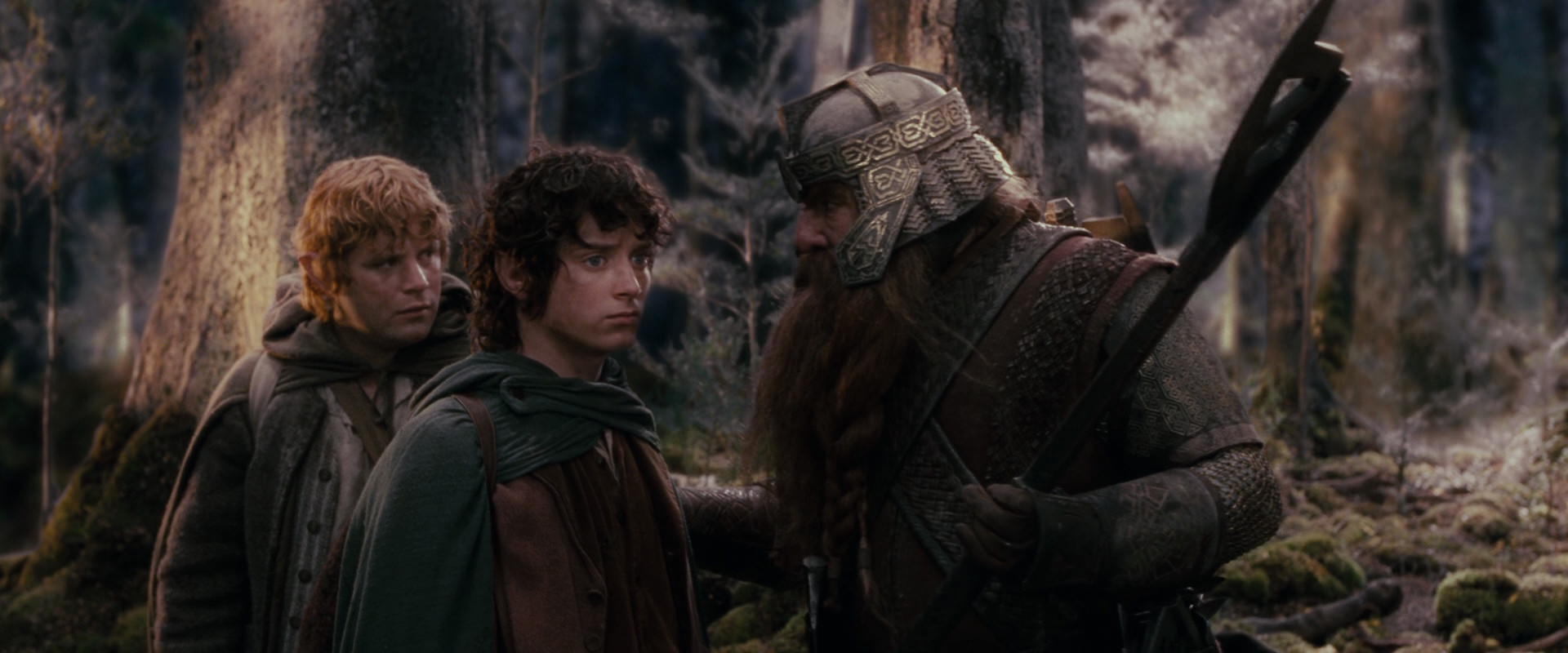 The Lord of the Rings: The Fellowship of the Ring (2001) movie still 17764