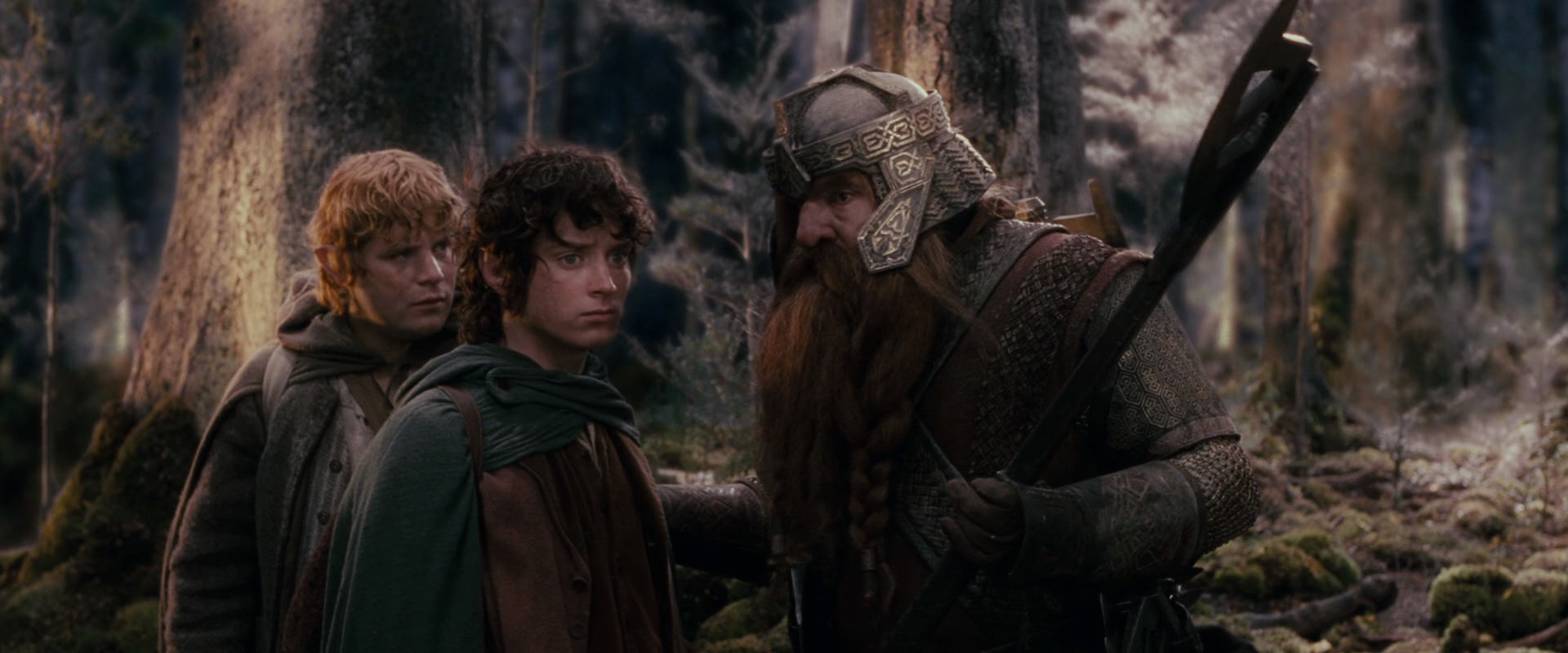 The Lord of the Rings: The Fellowship of the Ring (2001) HD screenshot 17765