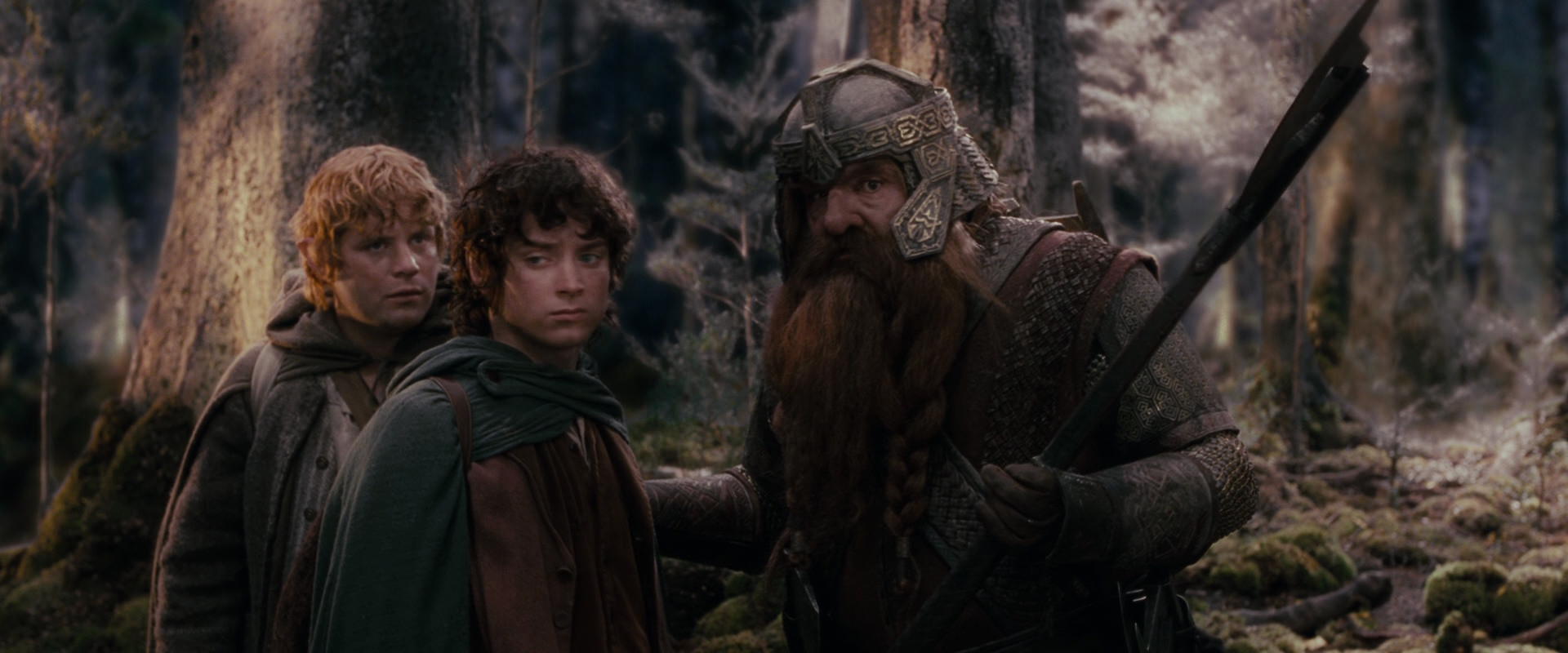 The Lord of the Rings: The Fellowship of the Ring (2001) screencap 17766