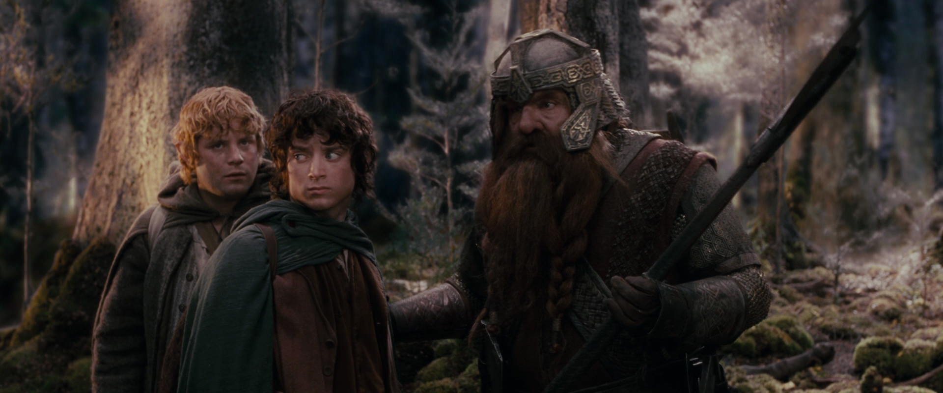 The Lord of the Rings: The Fellowship of the Ring (2001) movie still 17767