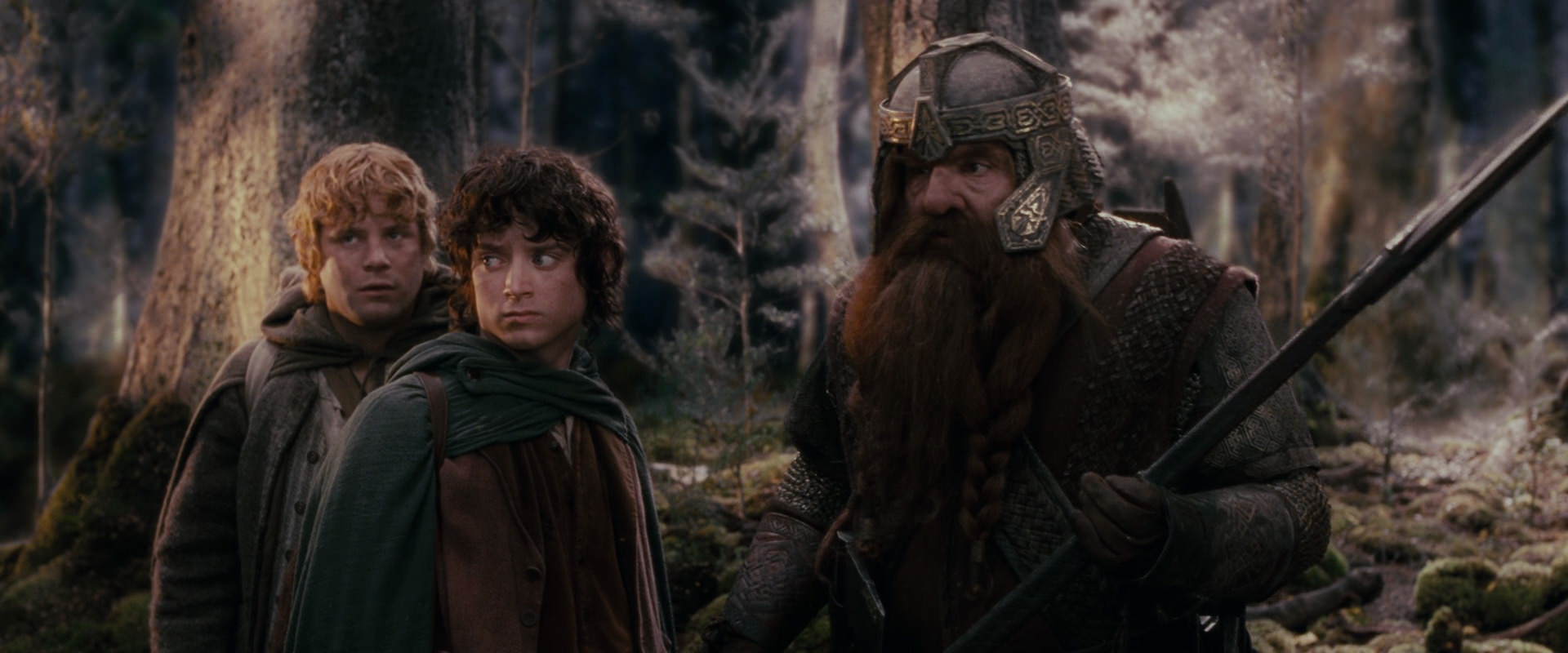 The Lord of the Rings: The Fellowship of the Ring (2001) HD screenshot 17768