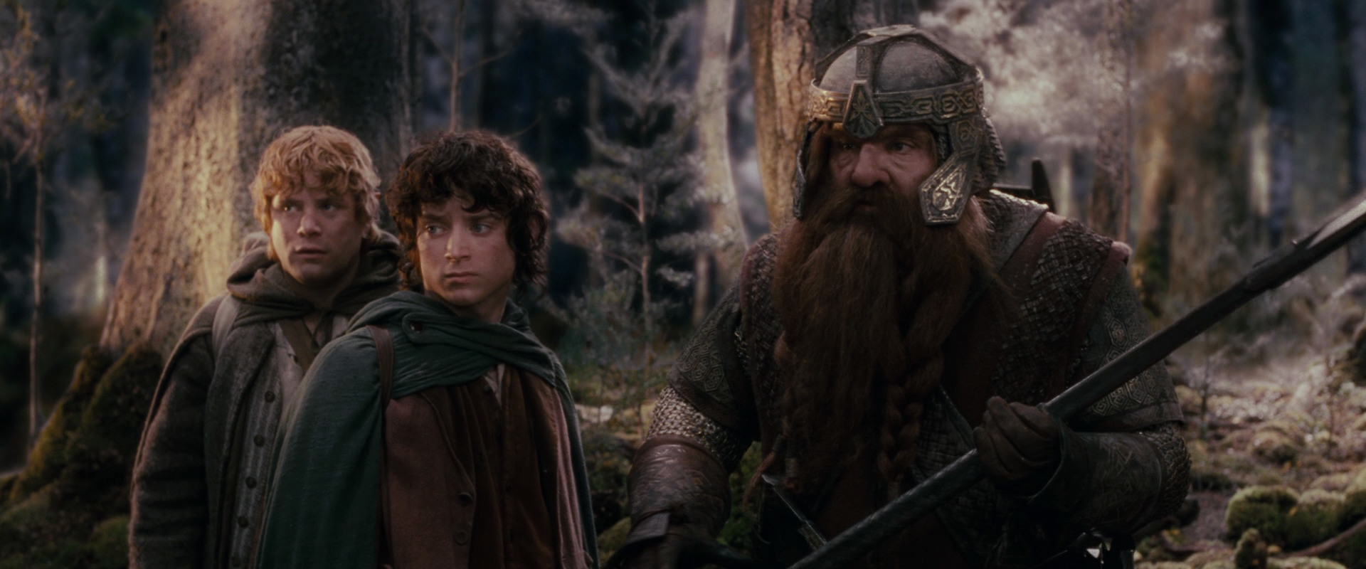 The Lord of the Rings: The Fellowship of the Ring (2001) screencap 17769