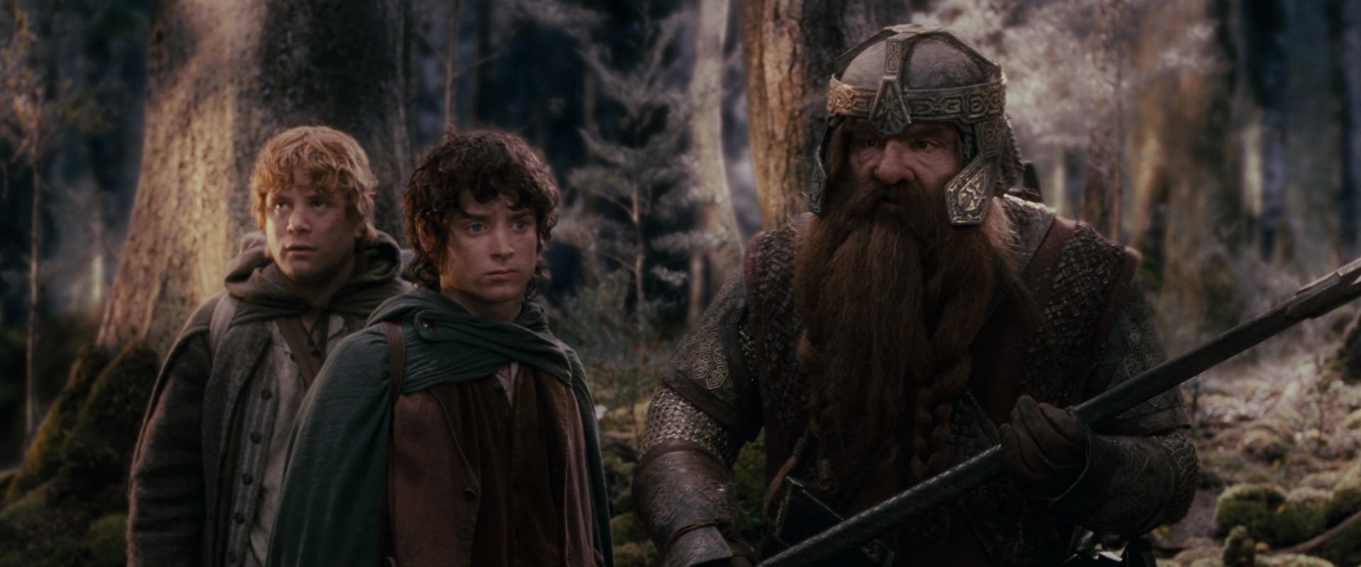 The Lord of the Rings: The Fellowship of the Ring (2001) movie still 17770