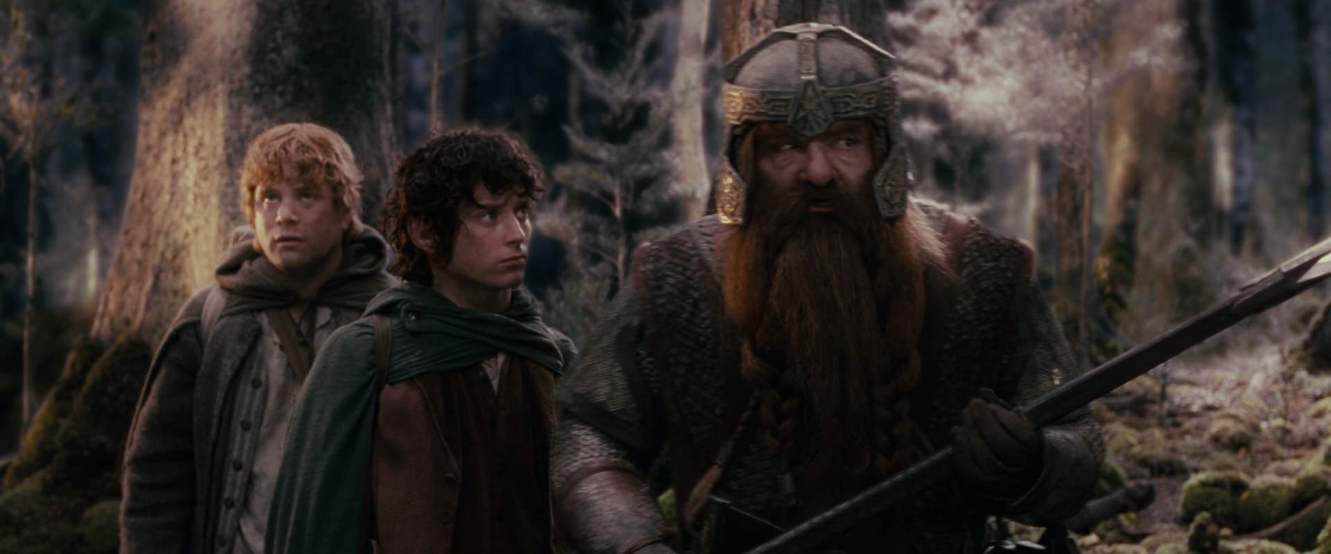 The Lord of the Rings: The Fellowship of the Ring (2001) HD screenshot 17771