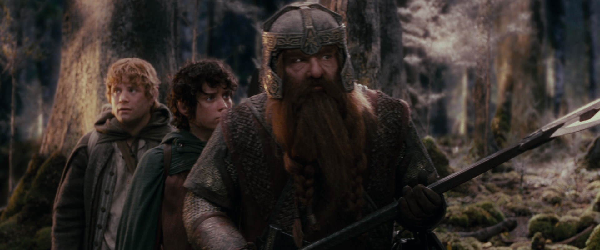 The Lord of the Rings: The Fellowship of the Ring (2001) screencap 17772