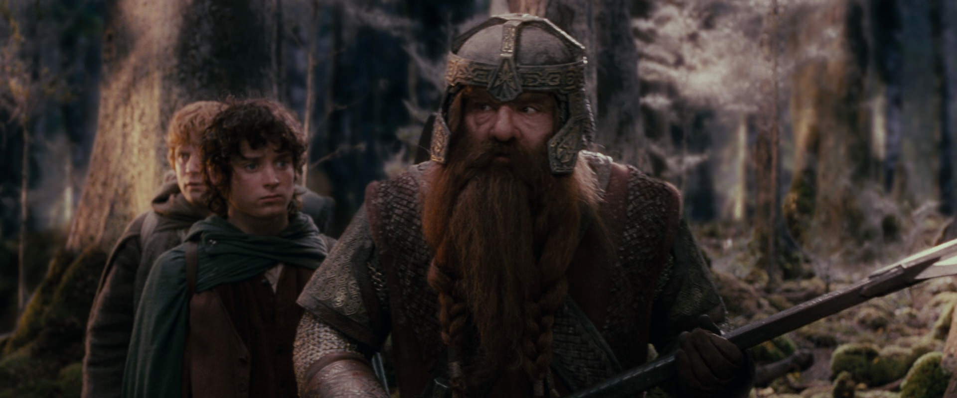 The Lord of the Rings: The Fellowship of the Ring (2001) HD screenshot 17774