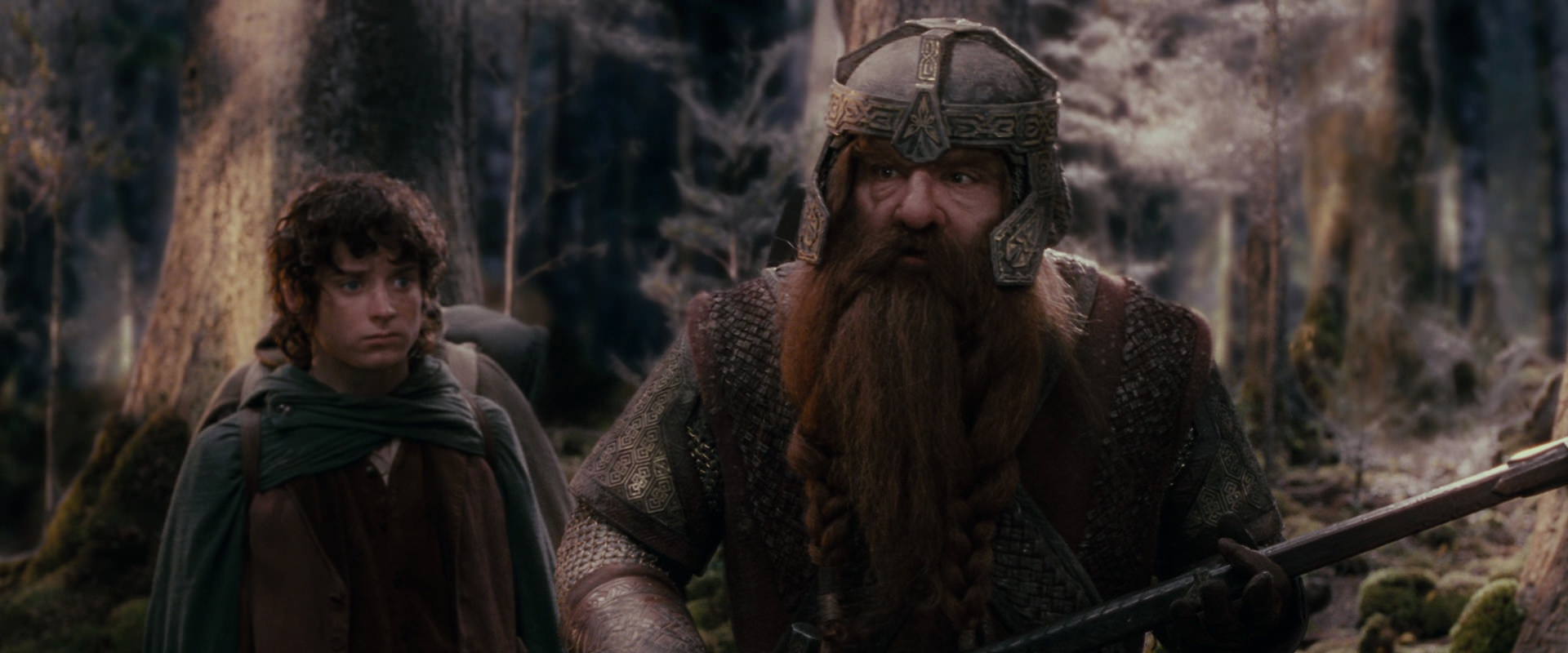 The Lord of the Rings: The Fellowship of the Ring (2001) screencap 17775