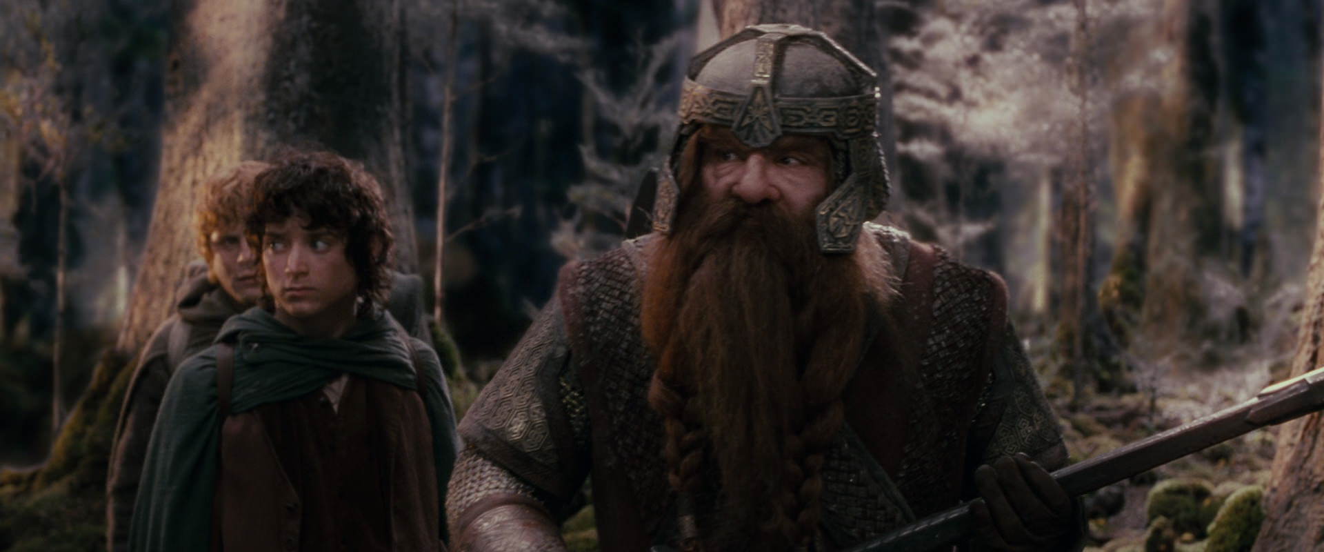 The Lord of the Rings: The Fellowship of the Ring (2001) movie still 17776