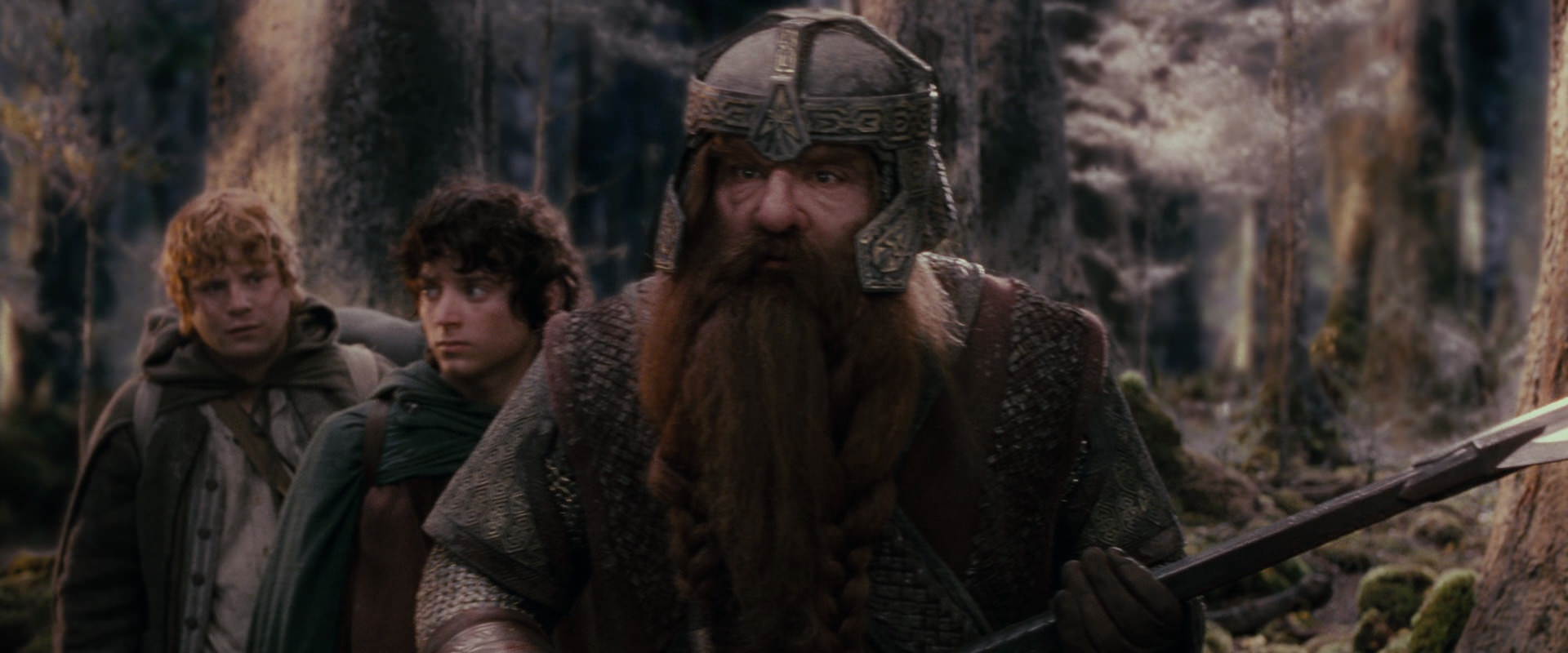 The Lord of the Rings: The Fellowship of the Ring (2001) HD screenshot 17777