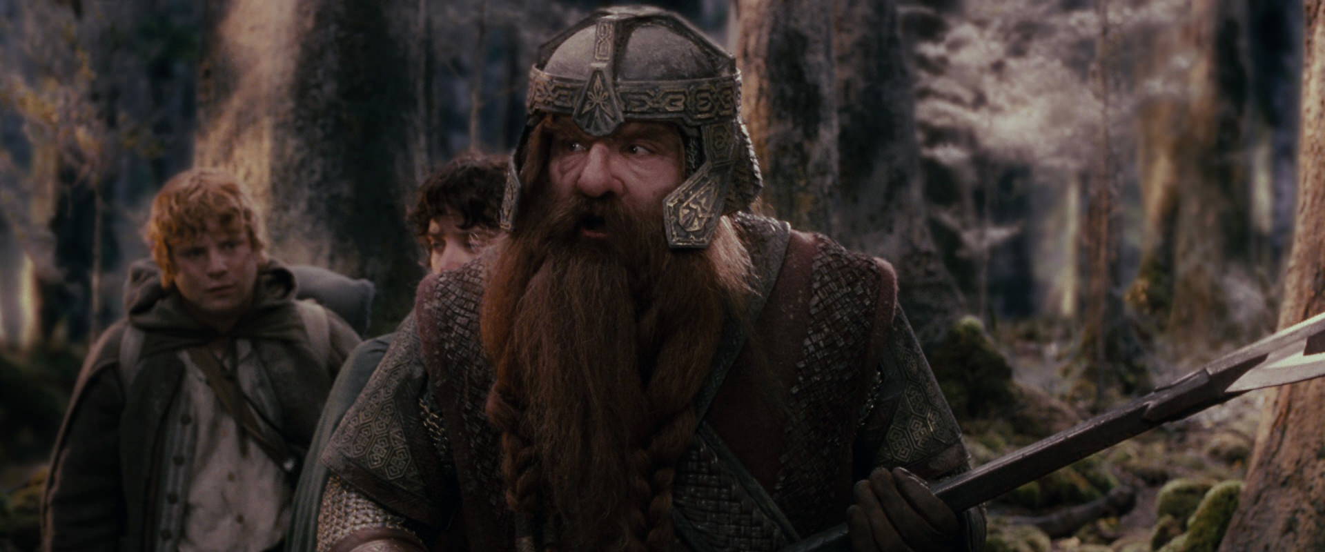 The Lord of the Rings: The Fellowship of the Ring (2001) screencap 17778