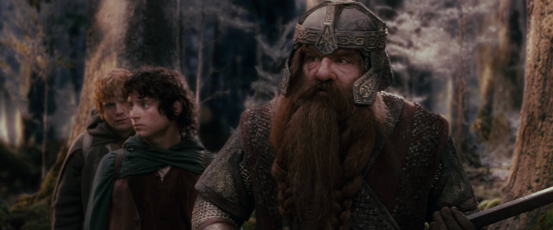 The Lord of the Rings: The Fellowship of the Ring (2001) HD screenshot 17780