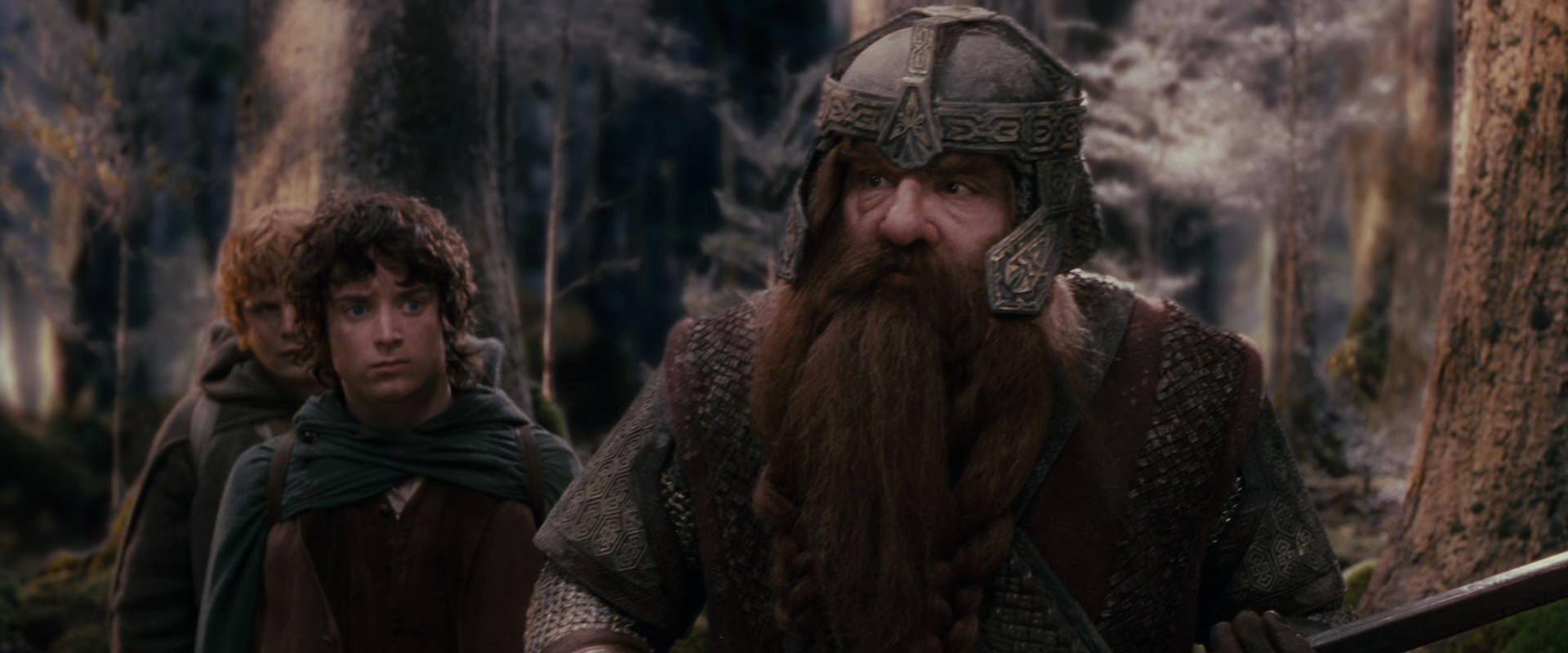 The Lord of the Rings: The Fellowship of the Ring (2001) screencap 17781