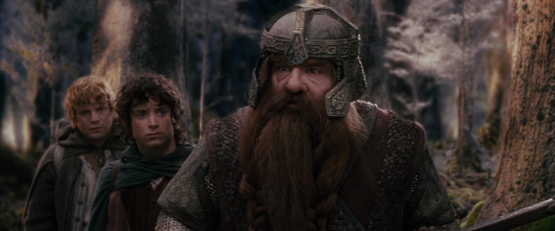The Lord of the Rings: The Fellowship of the Ring (2001) movie still 17782