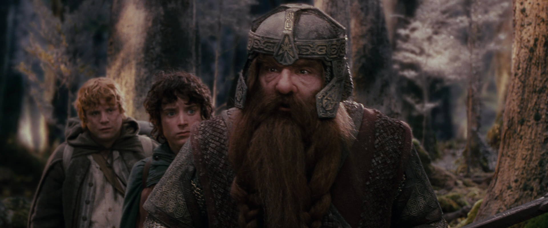 The Lord of the Rings: The Fellowship of the Ring (2001) HD screenshot 17783