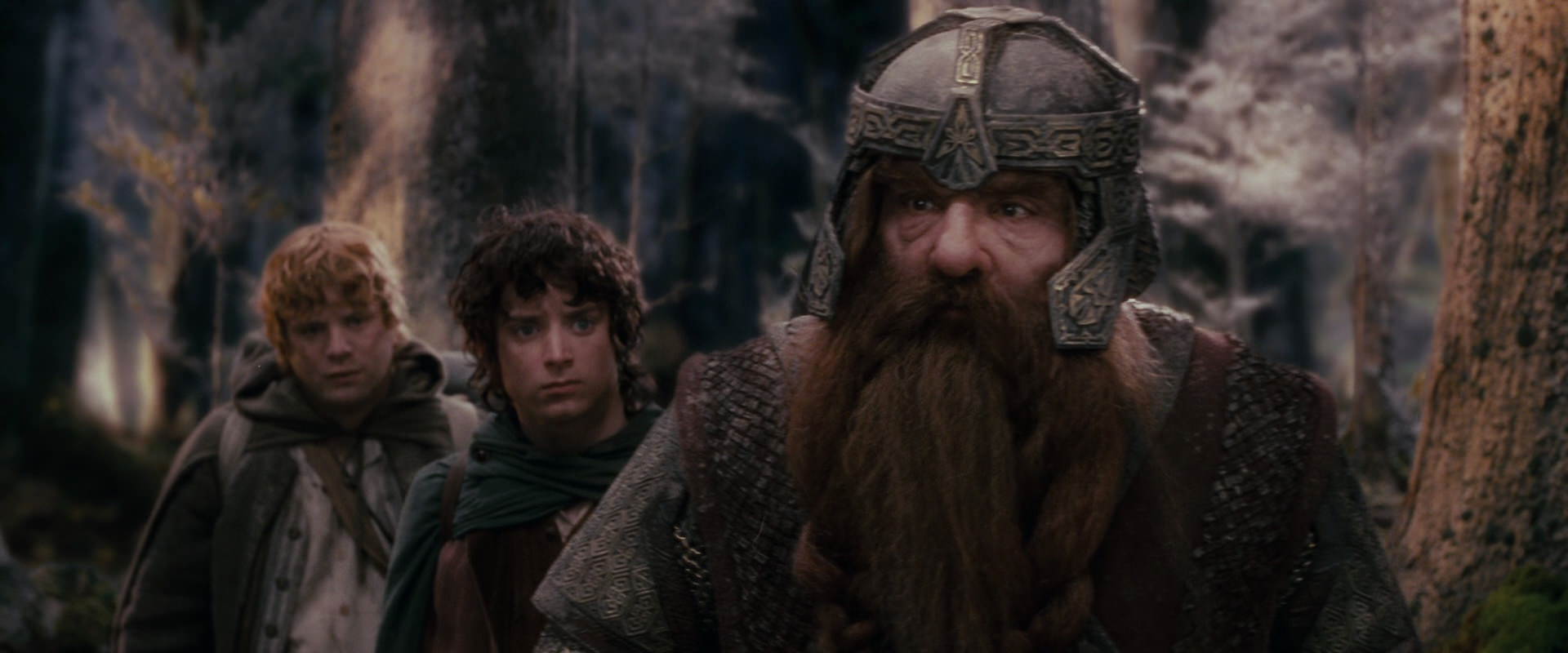 The Lord of the Rings: The Fellowship of the Ring (2001) screencap 17784