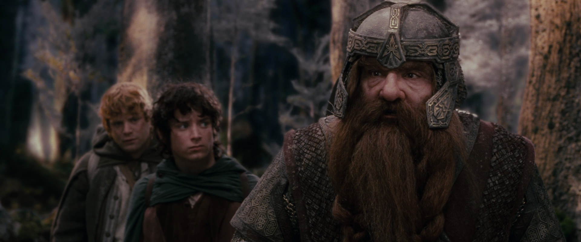 The Lord of the Rings: The Fellowship of the Ring (2001) movie still 17785