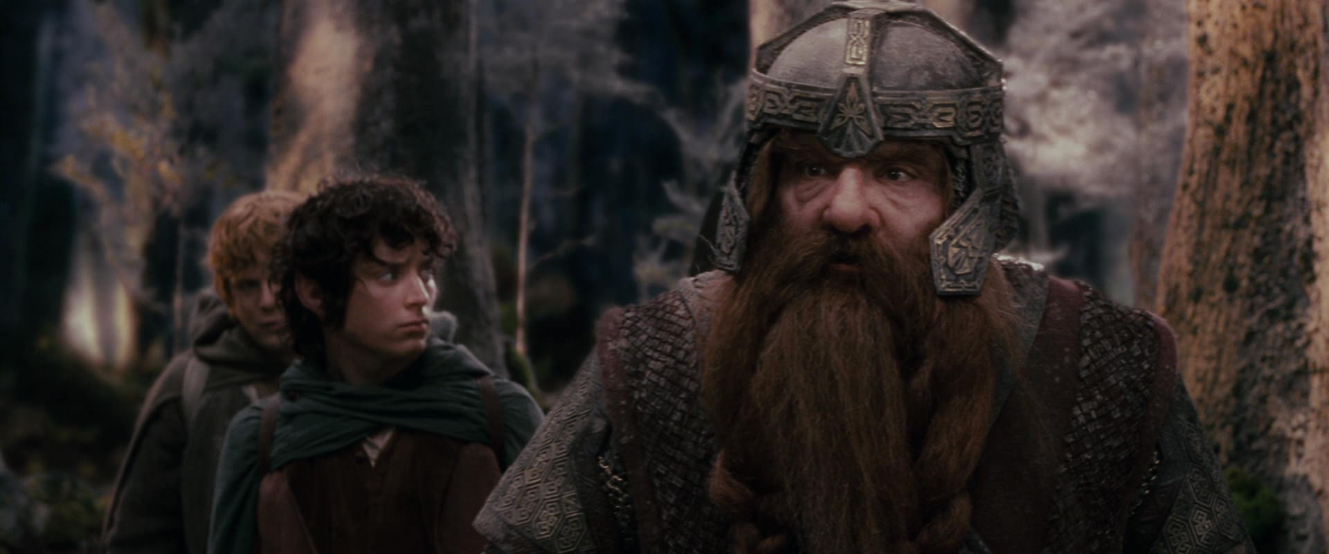 The Lord of the Rings: The Fellowship of the Ring (2001) HD screenshot 17786
