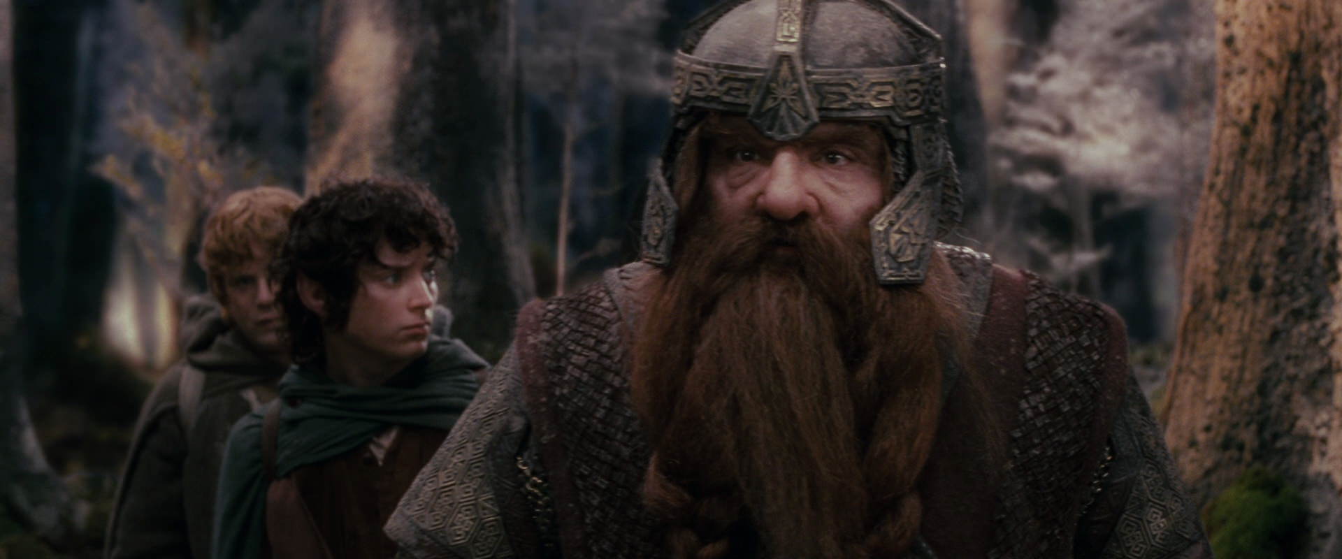 The Lord of the Rings: The Fellowship of the Ring (2001) screencap 17787