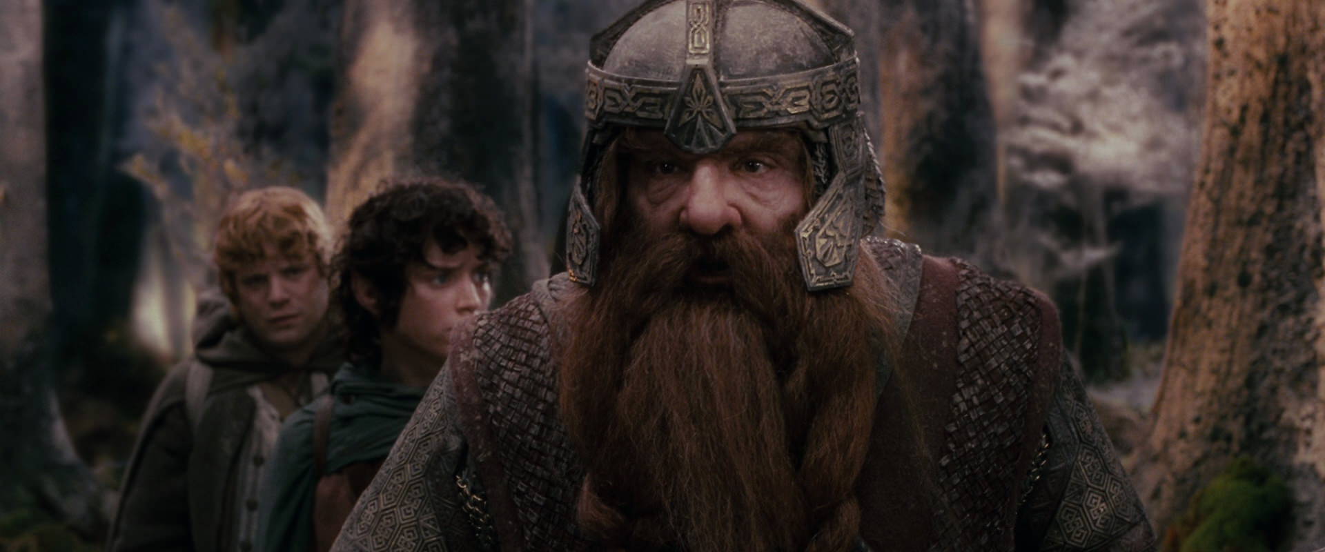 The Lord of the Rings: The Fellowship of the Ring (2001) movie still 17788