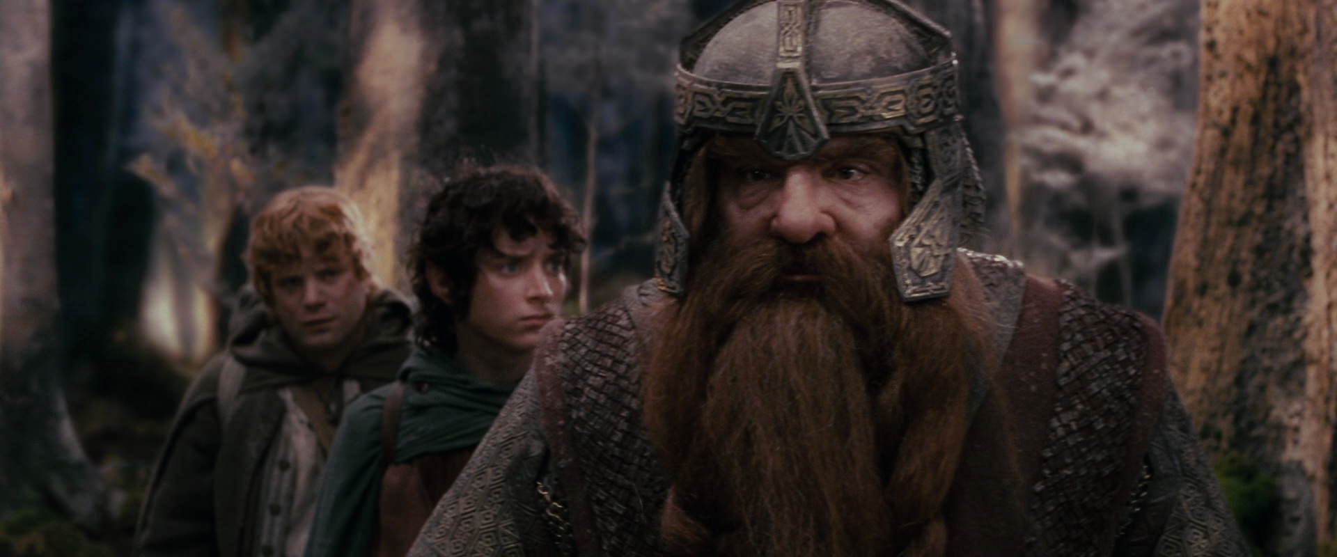 The Lord of the Rings: The Fellowship of the Ring (2001) HD screenshot 17789