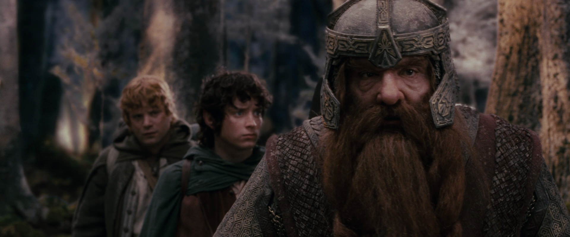 The Lord of the Rings: The Fellowship of the Ring (2001) screencap 17790