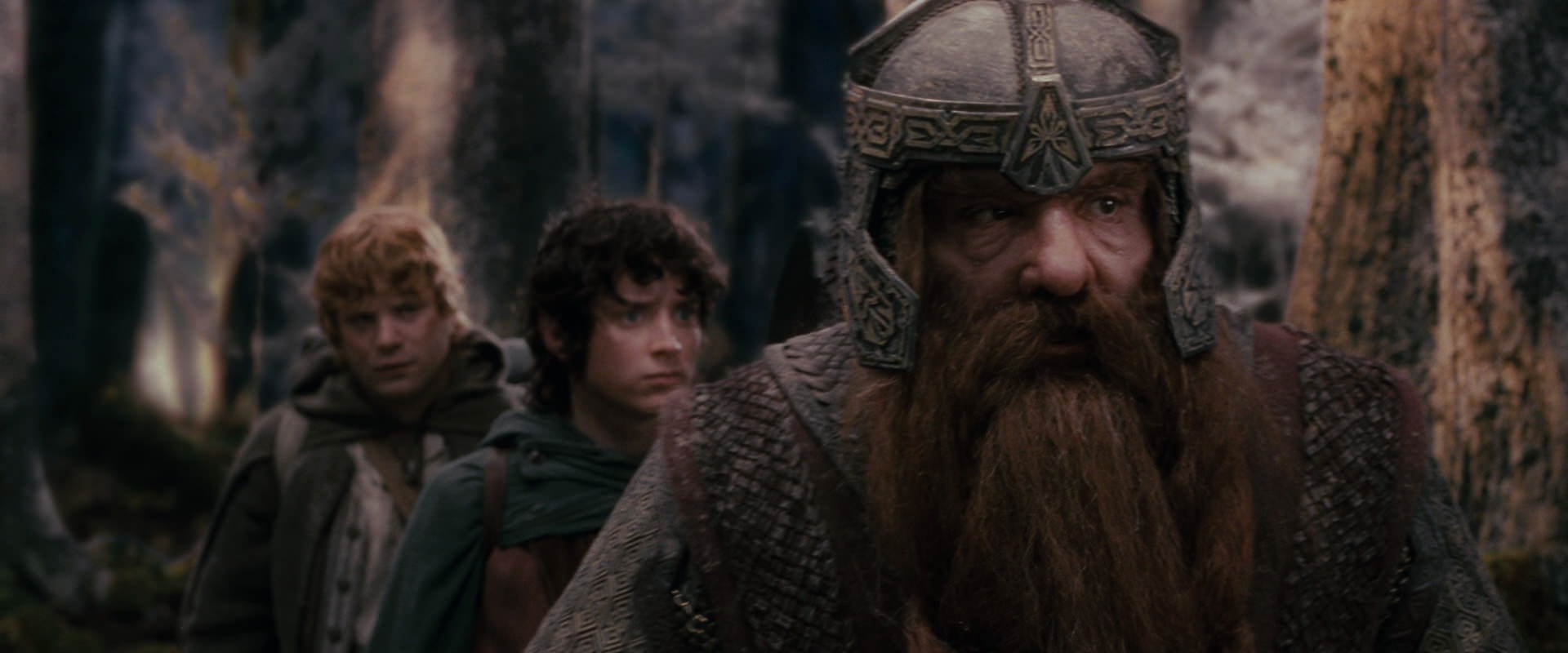 The Lord of the Rings: The Fellowship of the Ring (2001) movie still 17791