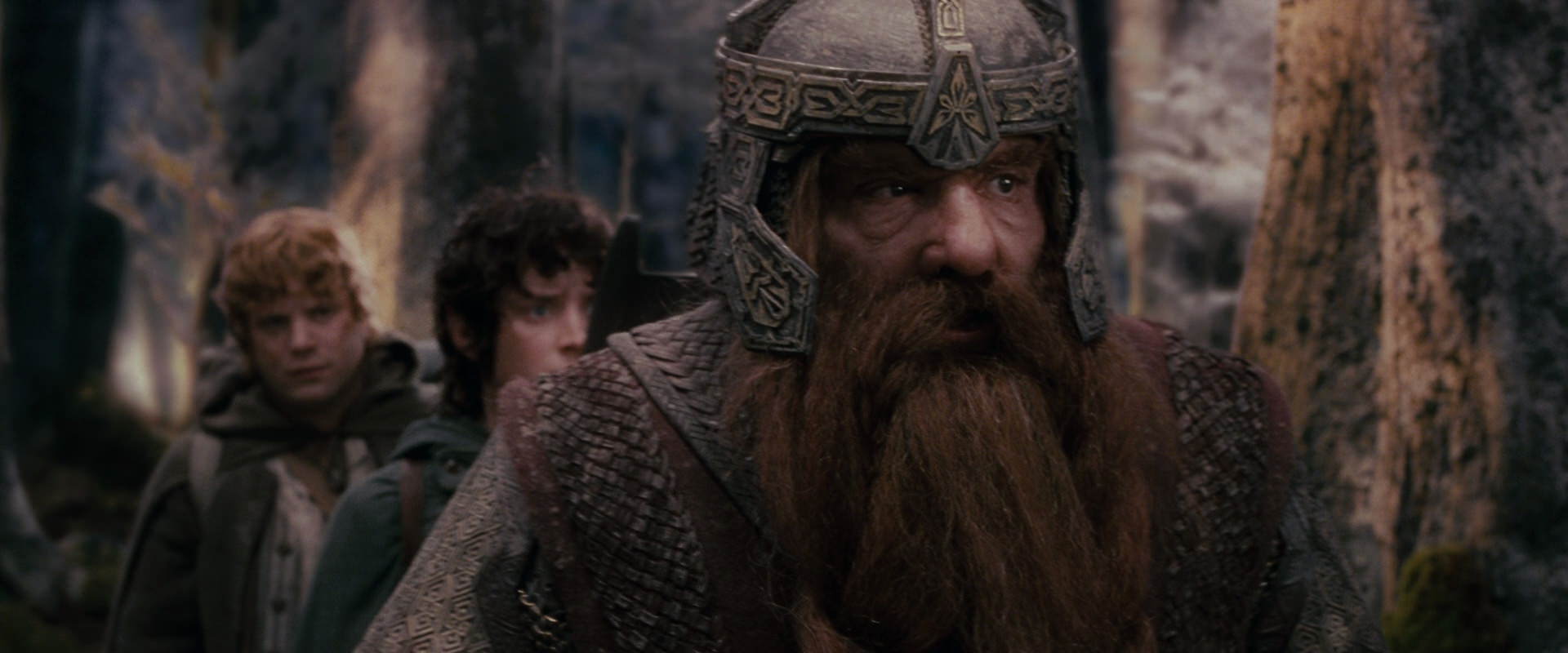 The Lord of the Rings: The Fellowship of the Ring (2001) HD screenshot 17792