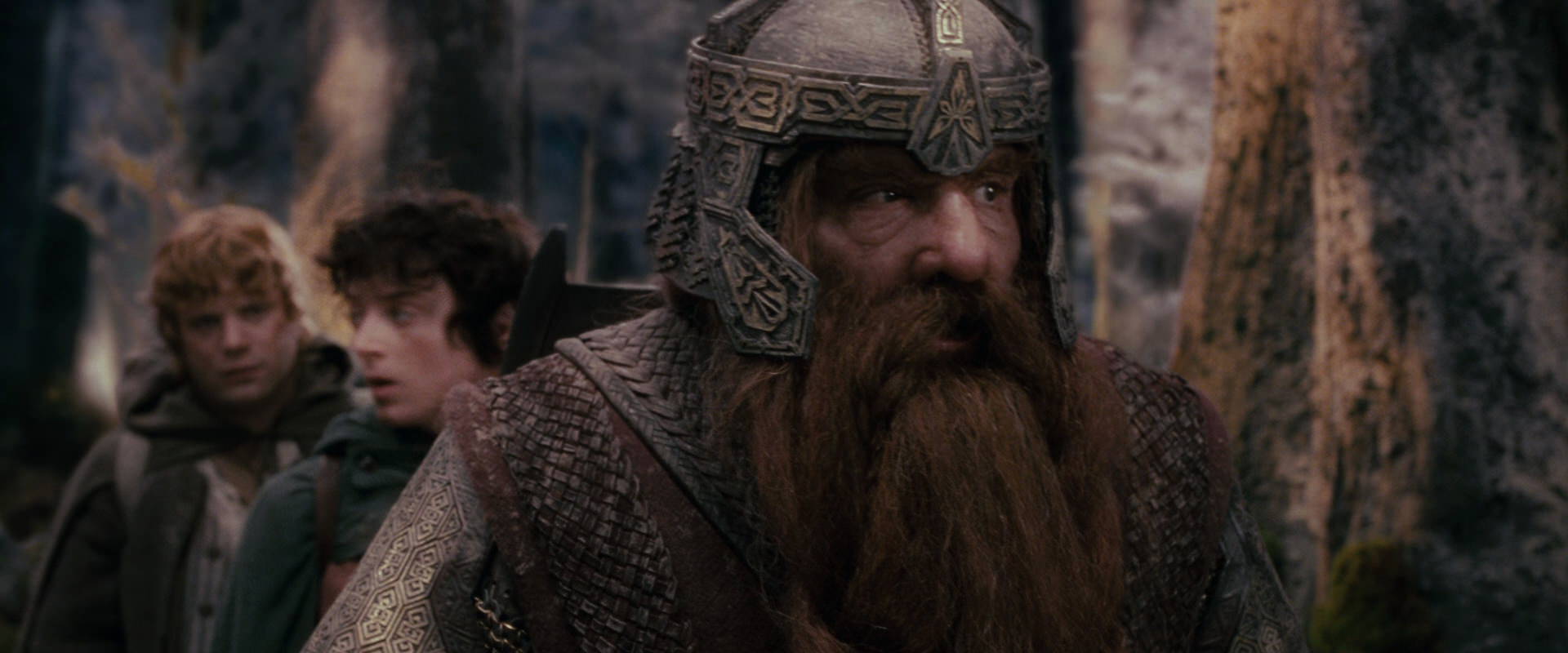 The Lord of the Rings: The Fellowship of the Ring (2001) screencap 17793