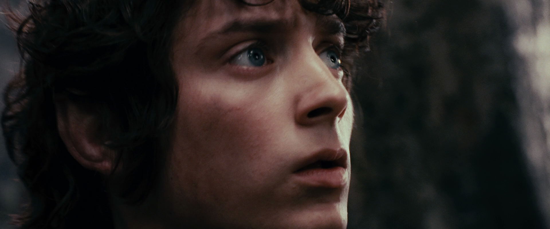 The Lord of the Rings: The Fellowship of the Ring (2001) screencap 17796