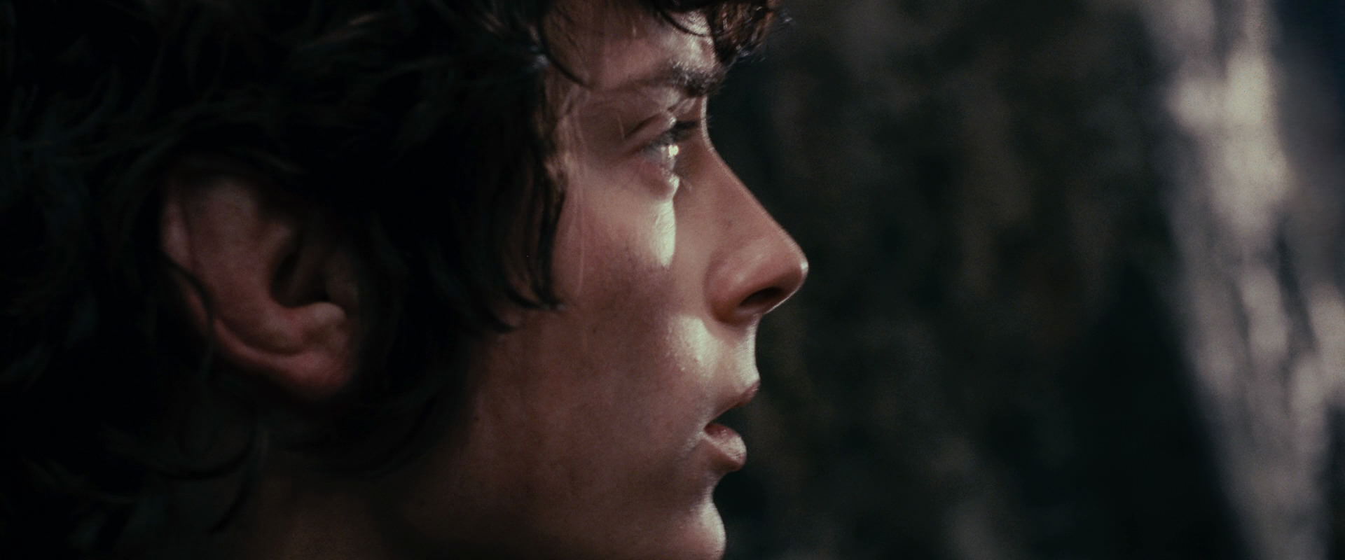 The Lord of the Rings: The Fellowship of the Ring (2001) movie still 17797