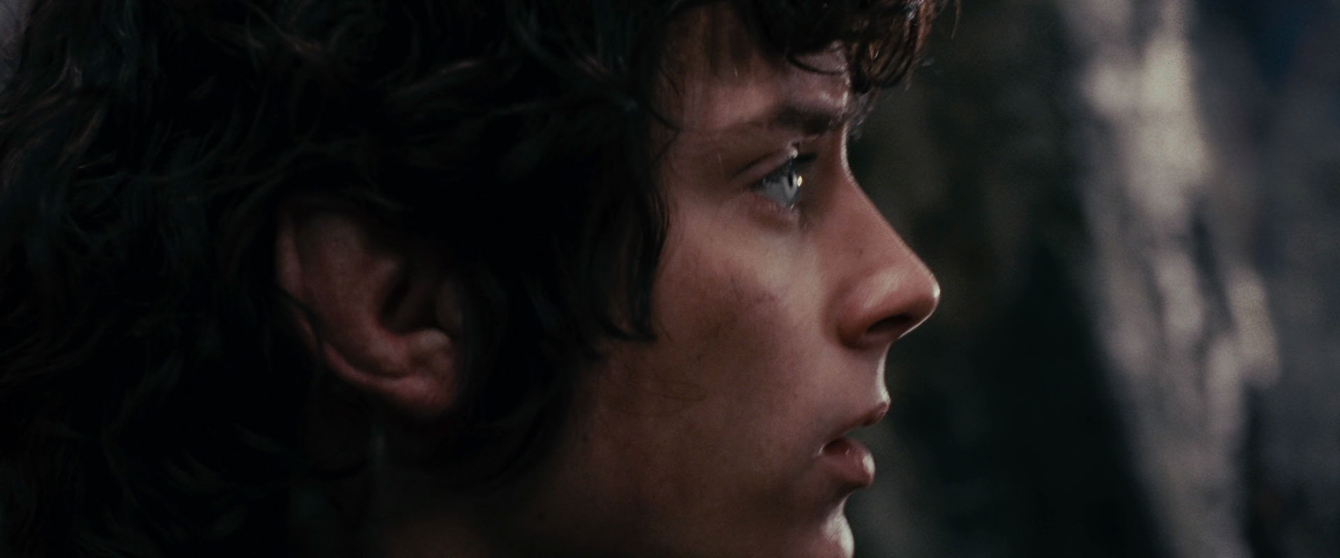 The Lord of the Rings: The Fellowship of the Ring (2001) HD screenshot 17798