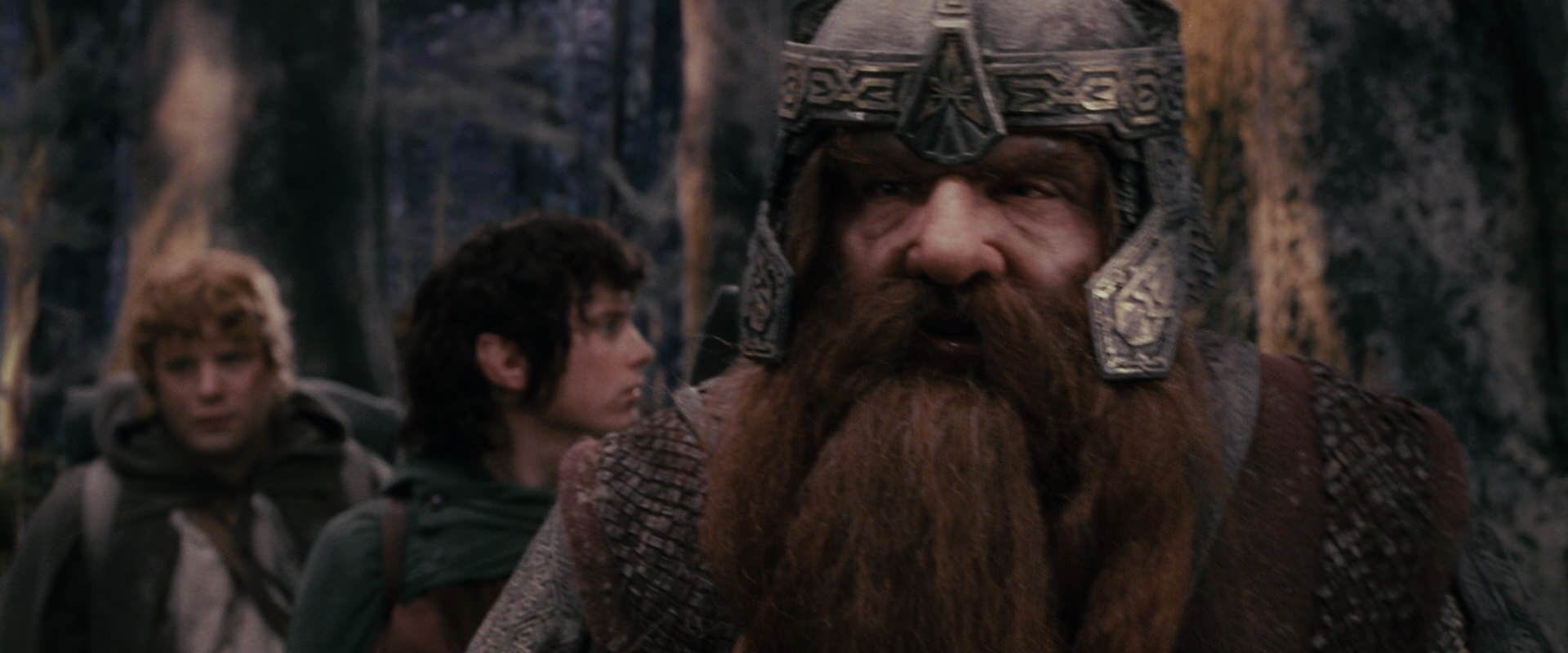 The Lord of the Rings: The Fellowship of the Ring (2001) screencap 17799