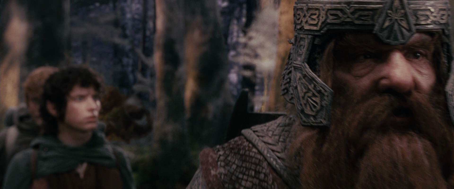 The Lord of the Rings: The Fellowship of the Ring (2001) HD screenshot 17801