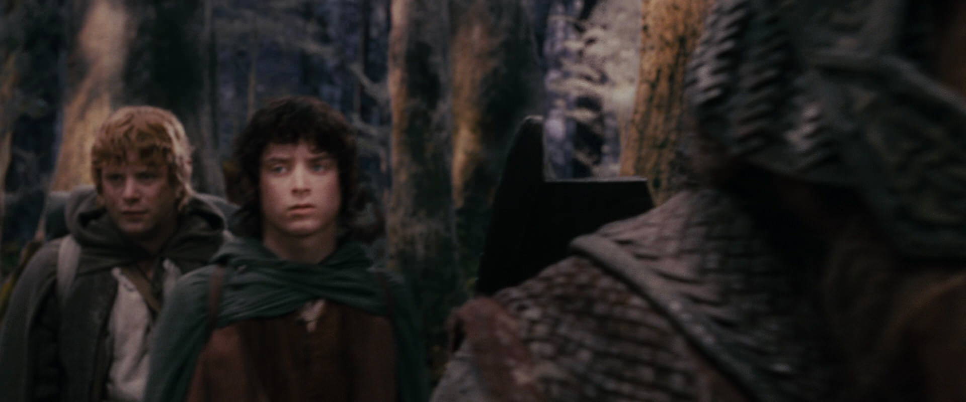 The Lord of the Rings: The Fellowship of the Ring (2001) screencap 17802