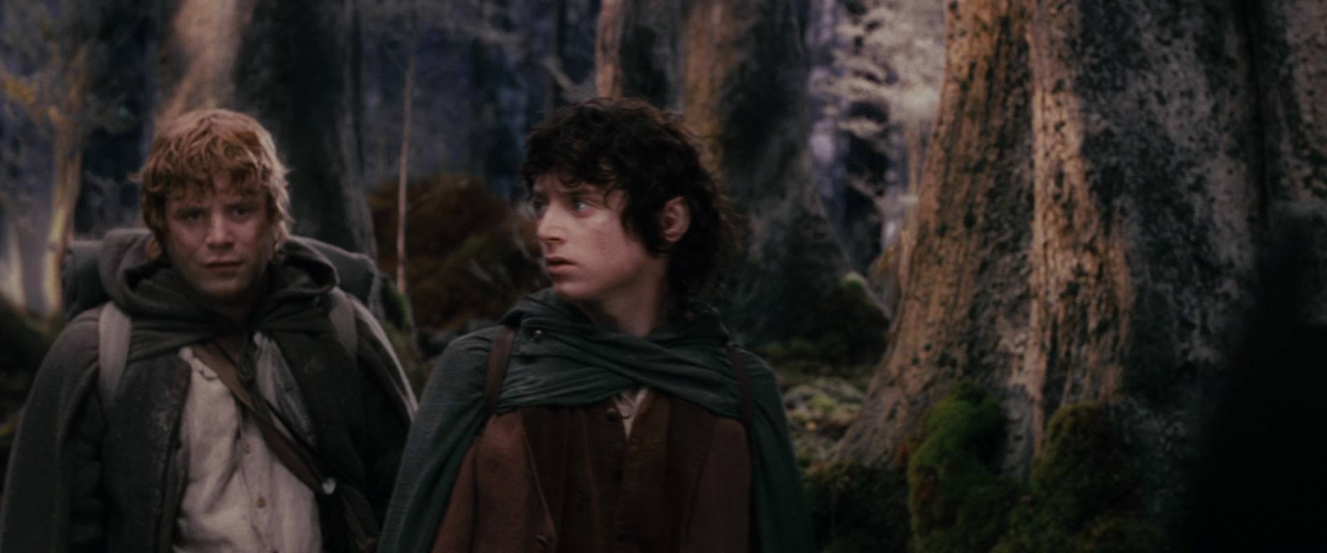 The Lord of the Rings: The Fellowship of the Ring (2001) movie still 17803