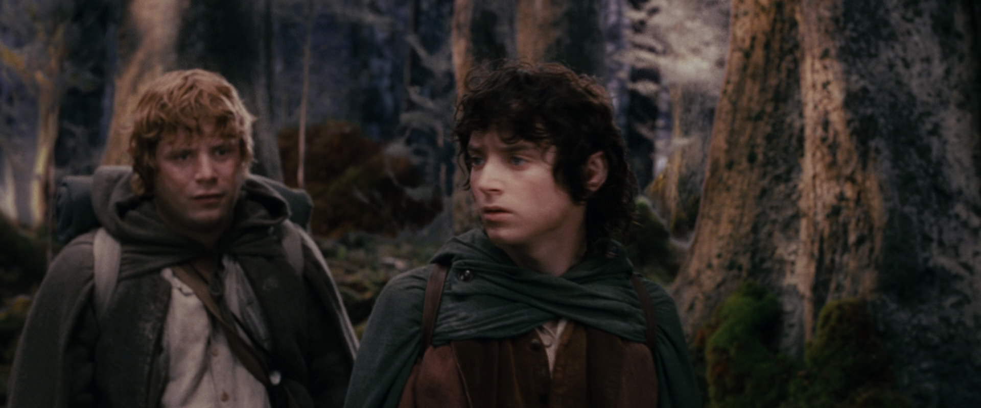 The Lord of the Rings: The Fellowship of the Ring (2001) HD screenshot 17804
