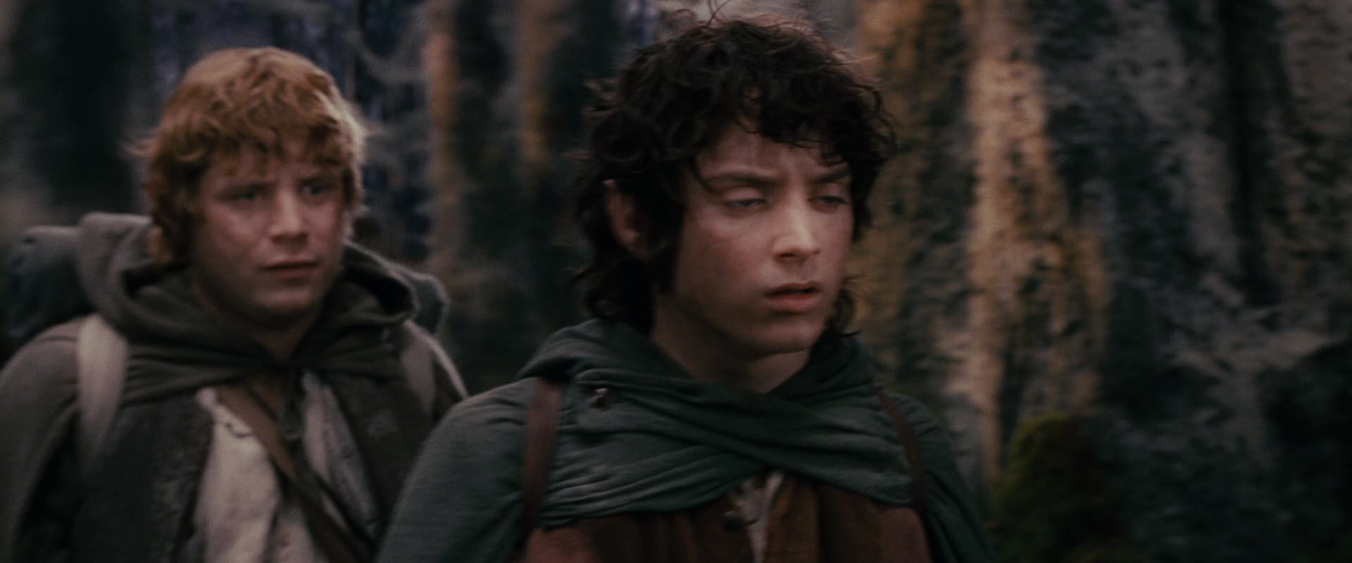 The Lord of the Rings: The Fellowship of the Ring (2001) screencap 17805