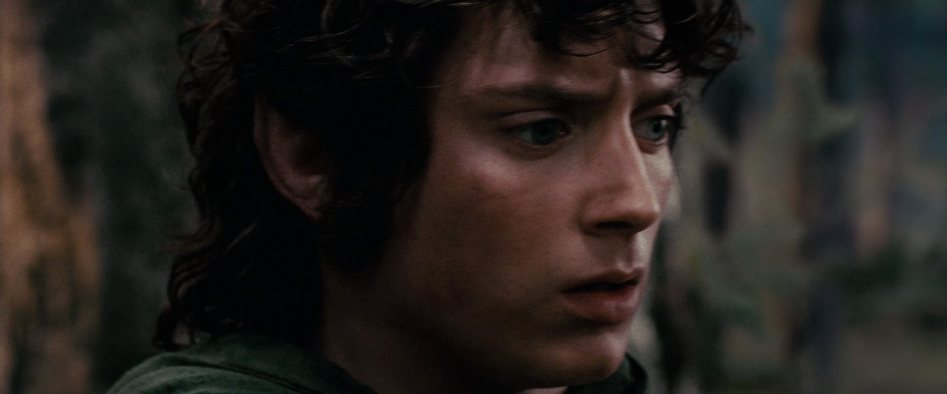 The Lord of the Rings: The Fellowship of the Ring (2001) screencap 17808