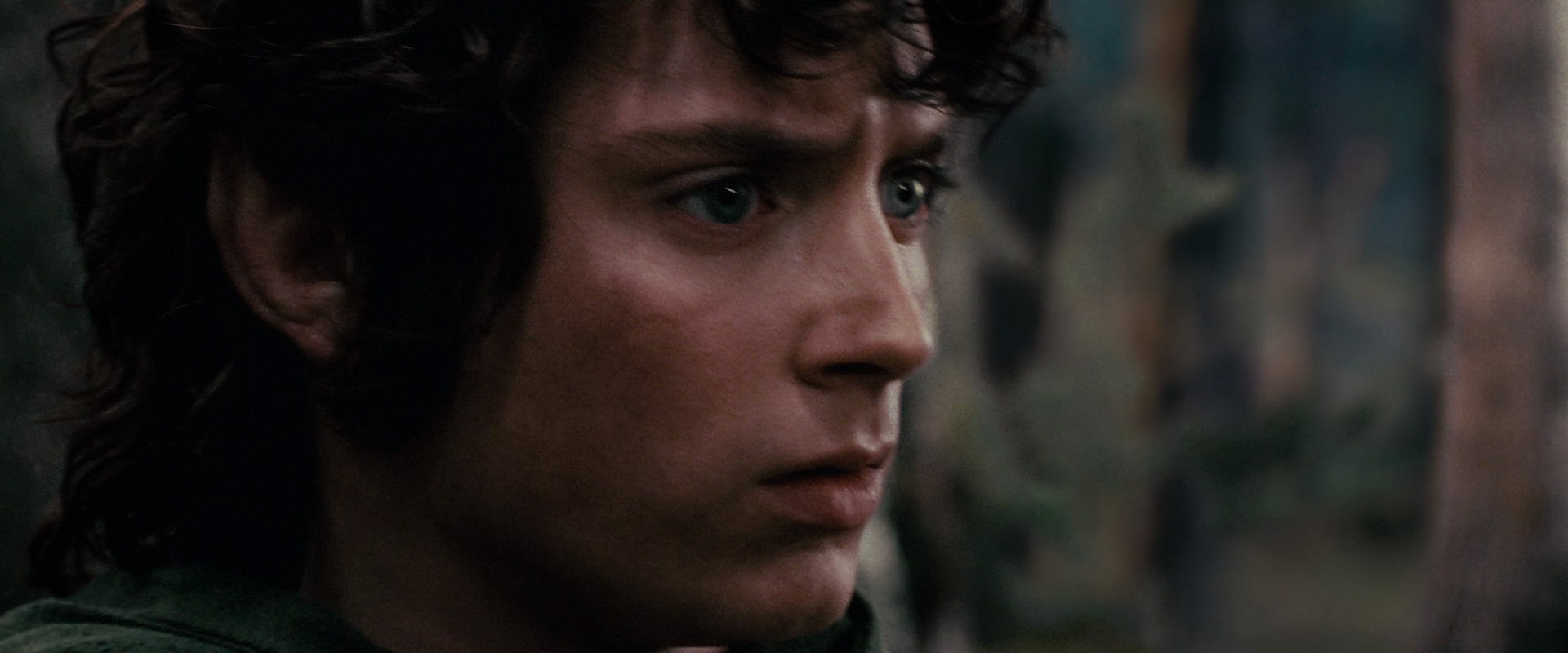 The Lord of the Rings: The Fellowship of the Ring (2001) HD screenshot 17810