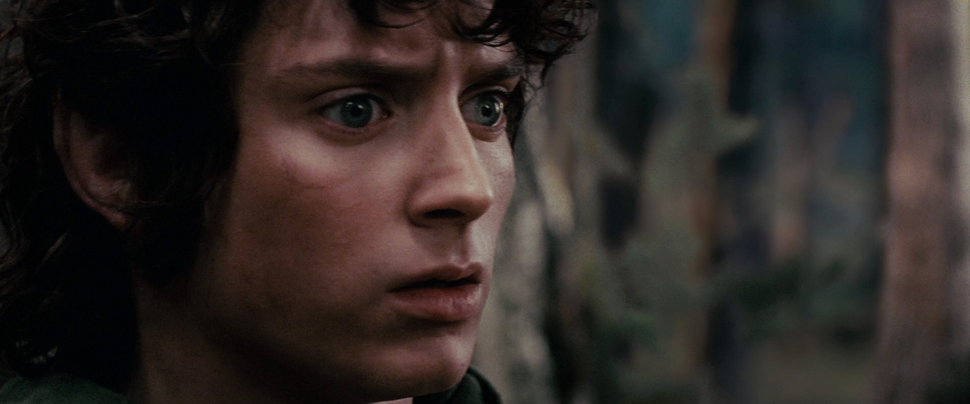 The Lord of the Rings: The Fellowship of the Ring (2001) screencap 17811