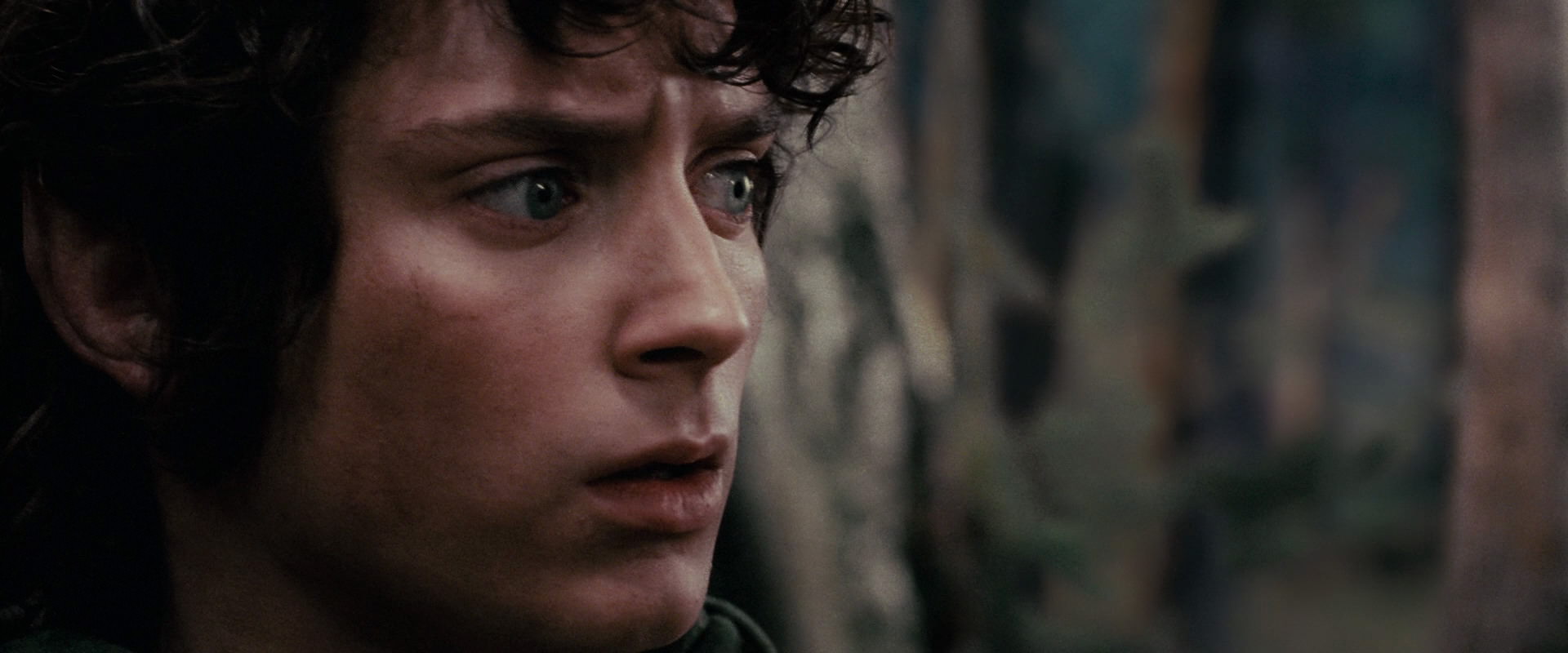 The Lord of the Rings: The Fellowship of the Ring (2001) movie still 17812