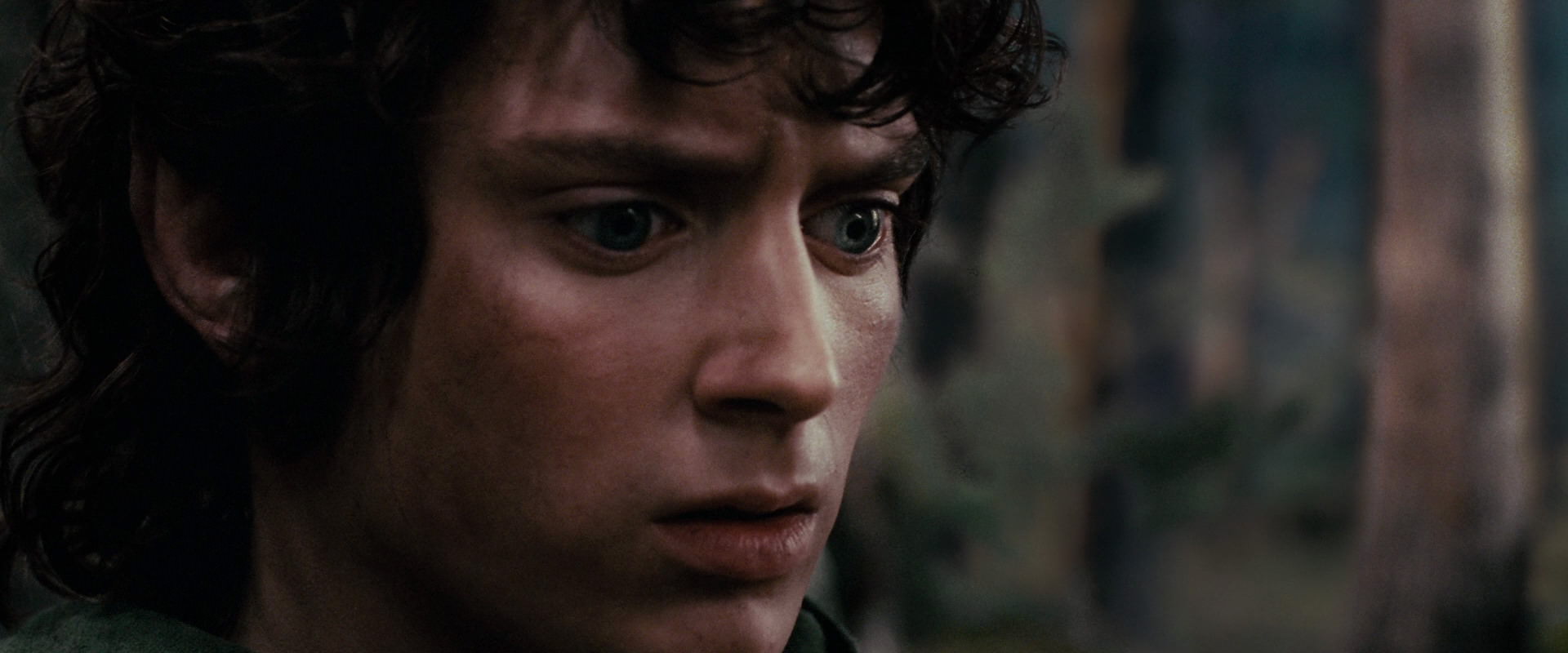 The Lord of the Rings: The Fellowship of the Ring (2001) screencap 17814