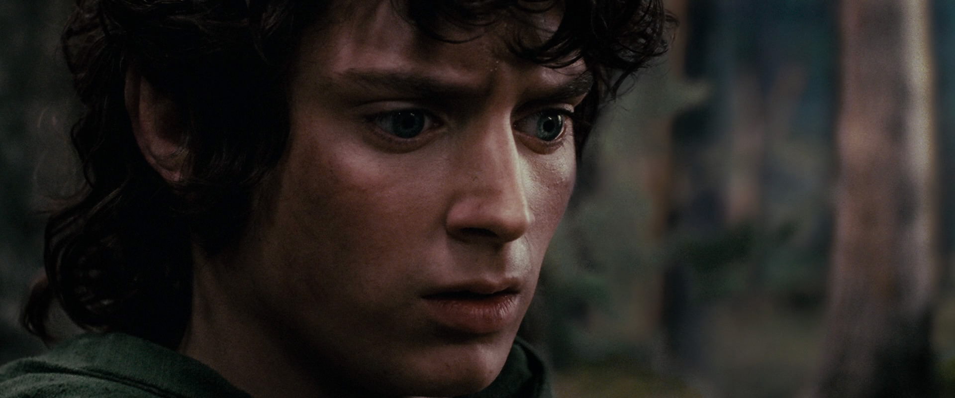 The Lord of the Rings: The Fellowship of the Ring (2001) movie still 17815