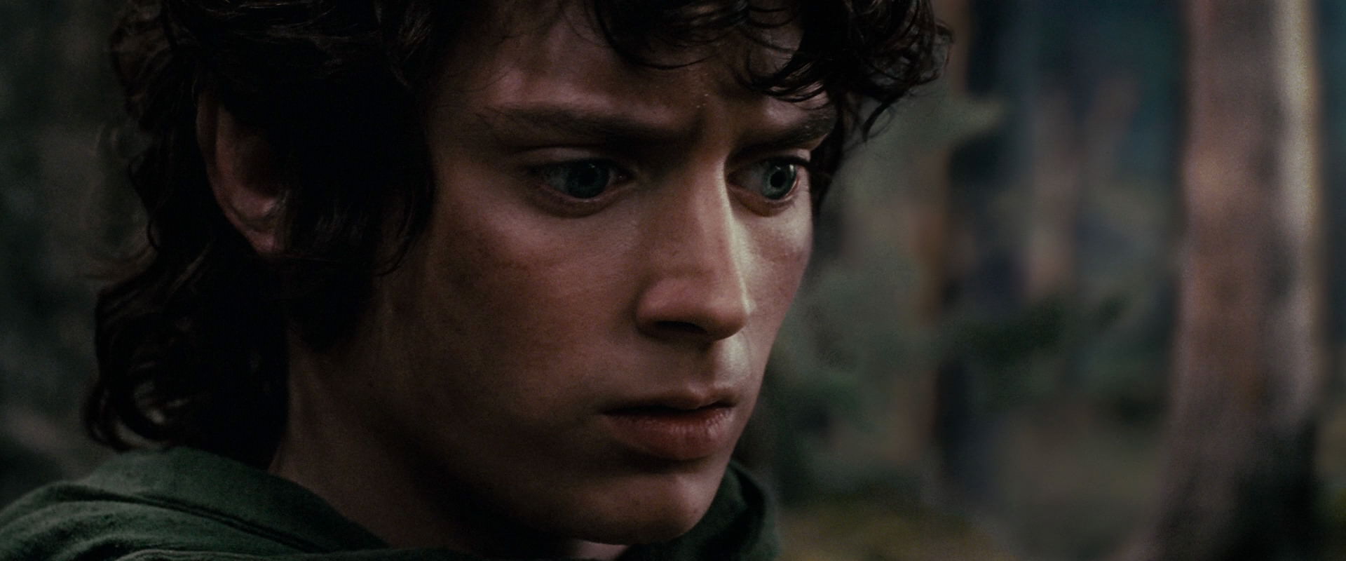 The Lord of the Rings: The Fellowship of the Ring (2001) HD screenshot 17816