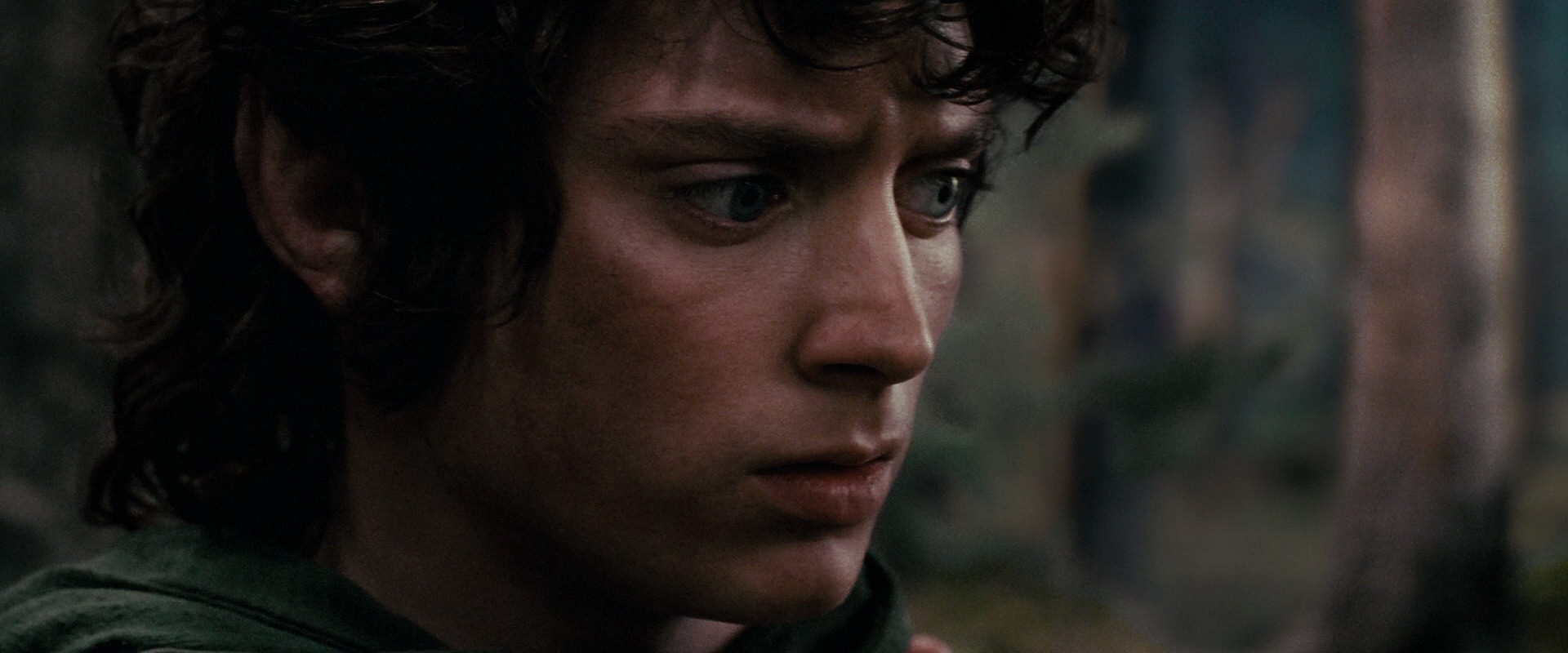 The Lord of the Rings: The Fellowship of the Ring (2001) screencap 17817
