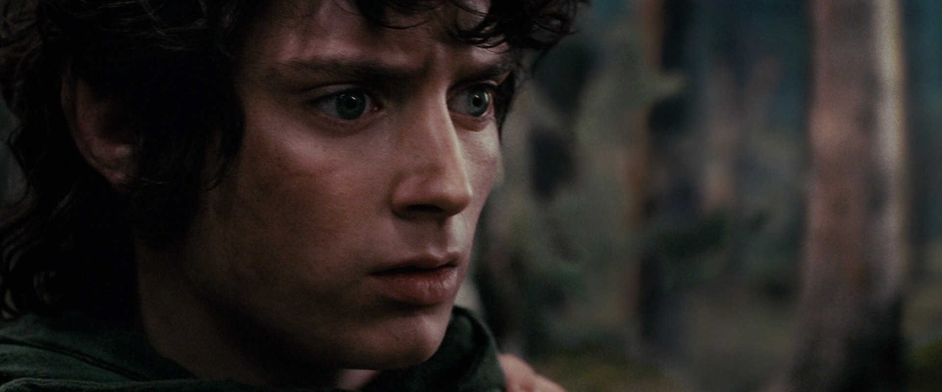 The Lord of the Rings: The Fellowship of the Ring (2001) movie still 17818
