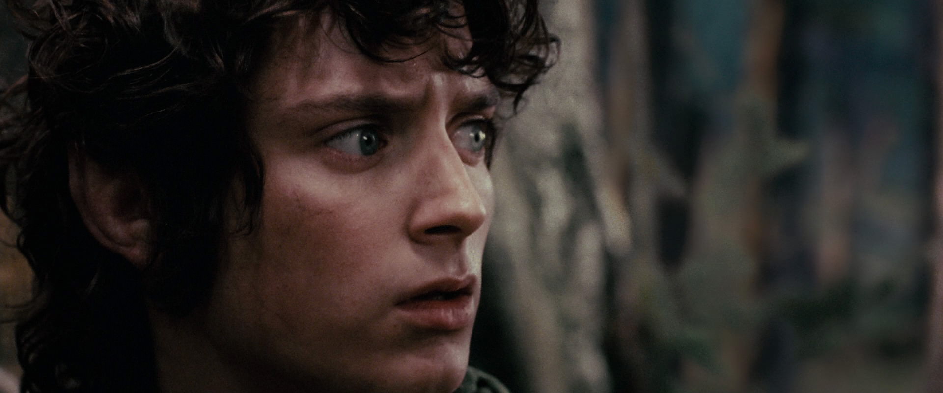 The Lord of the Rings: The Fellowship of the Ring (2001) screencap 17820