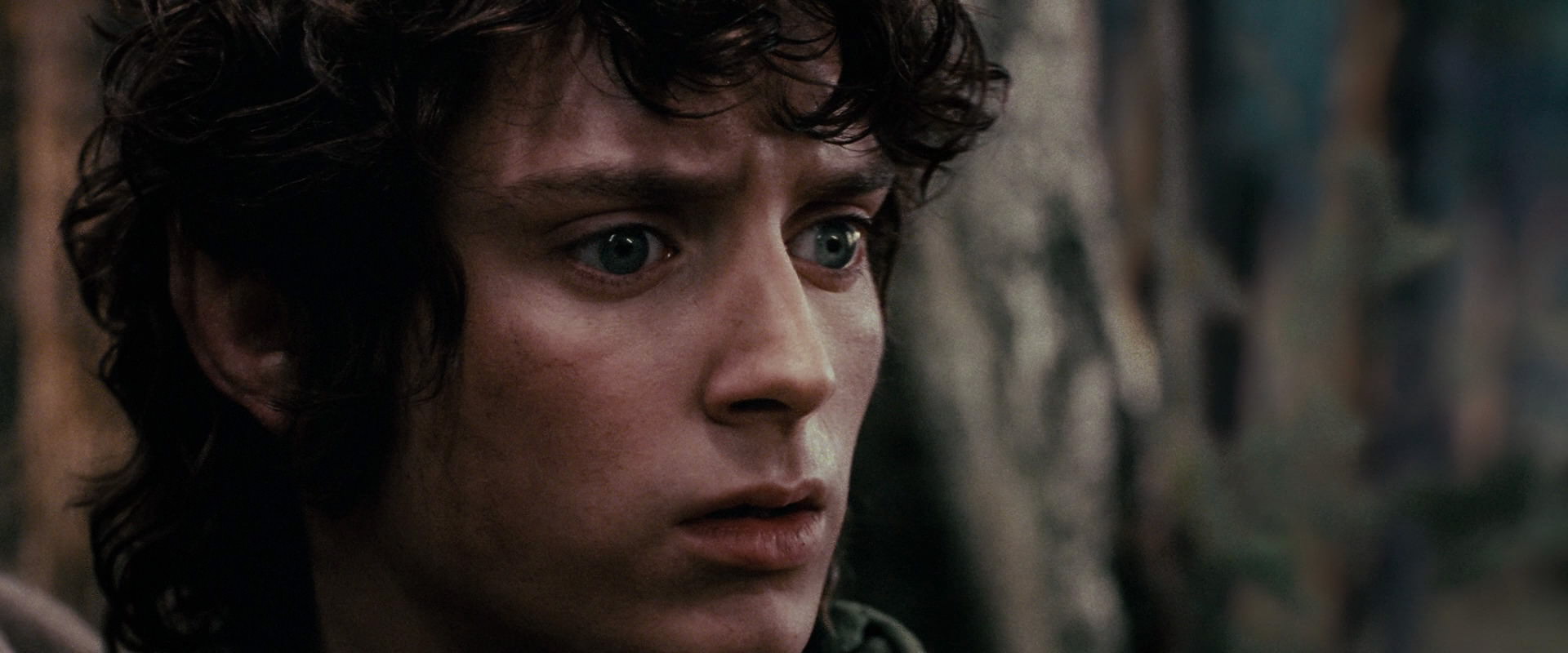 The Lord of the Rings: The Fellowship of the Ring (2001) movie still 17821