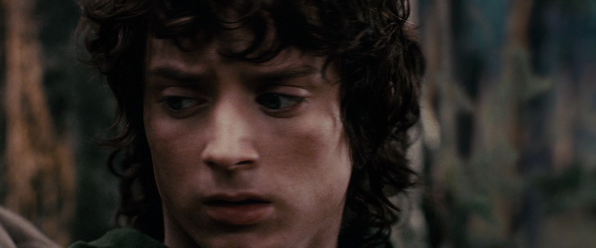 The Lord of the Rings: The Fellowship of the Ring (2001) HD screenshot 17822
