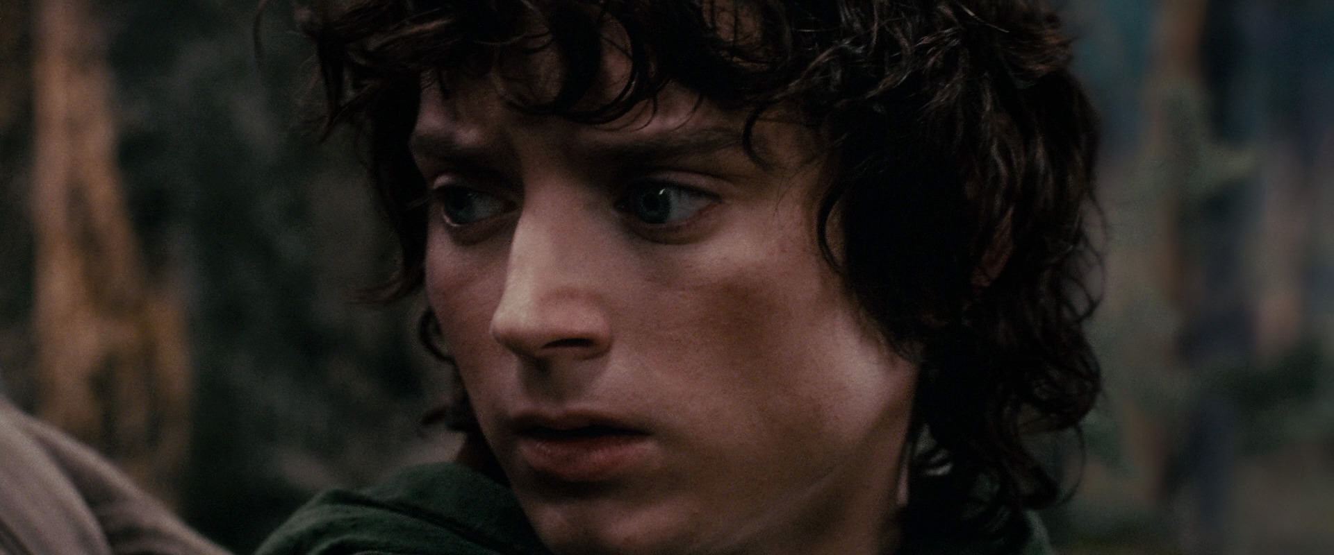 The Lord of the Rings: The Fellowship of the Ring (2001) screencap 17823